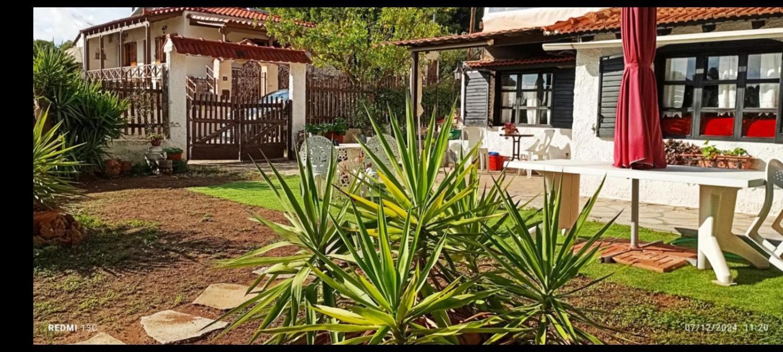 Phedra'S House Spata- Artemida Εξωτερικό φωτογραφία
